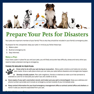 Image for Prepare Your Pet for Disasters