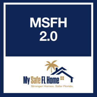Image for MSFH 2.0